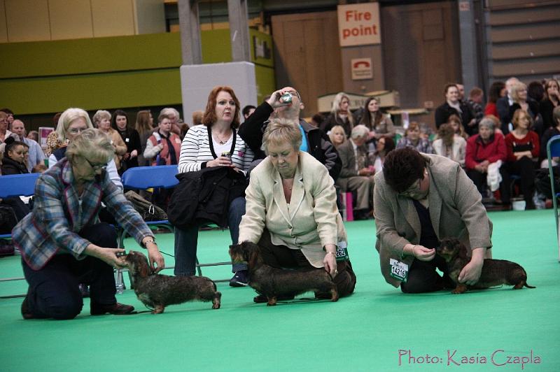 Crufts2011_2 1111.jpg